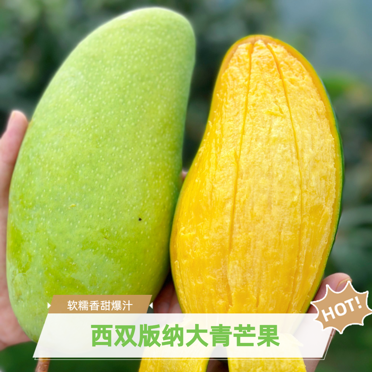 云南西双版纳应季大青芒热带金煌芒软糯香甜爆汁包邮