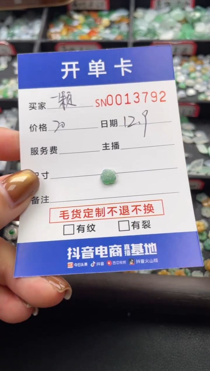 颈饰未镶嵌翡翠一**星13792