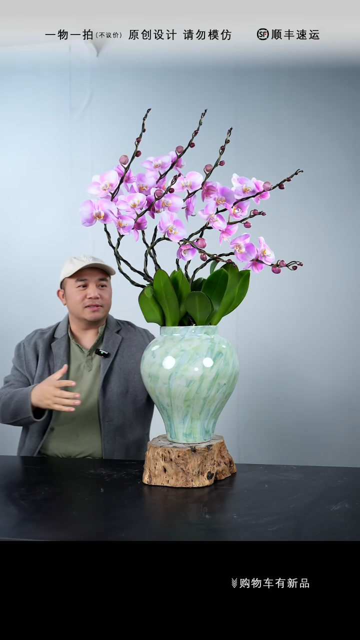 【闪购商品】076号链接【一物一拍】艺术盆景