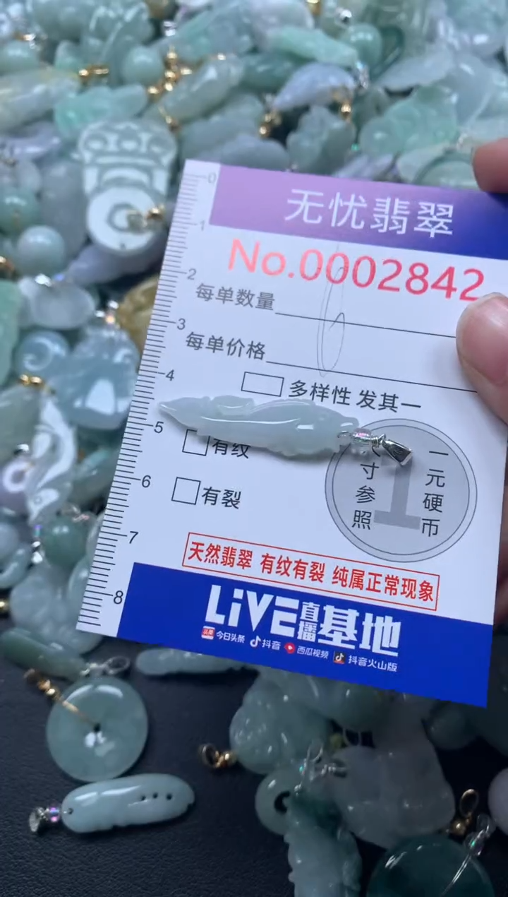 颈饰未镶嵌翡翠2842