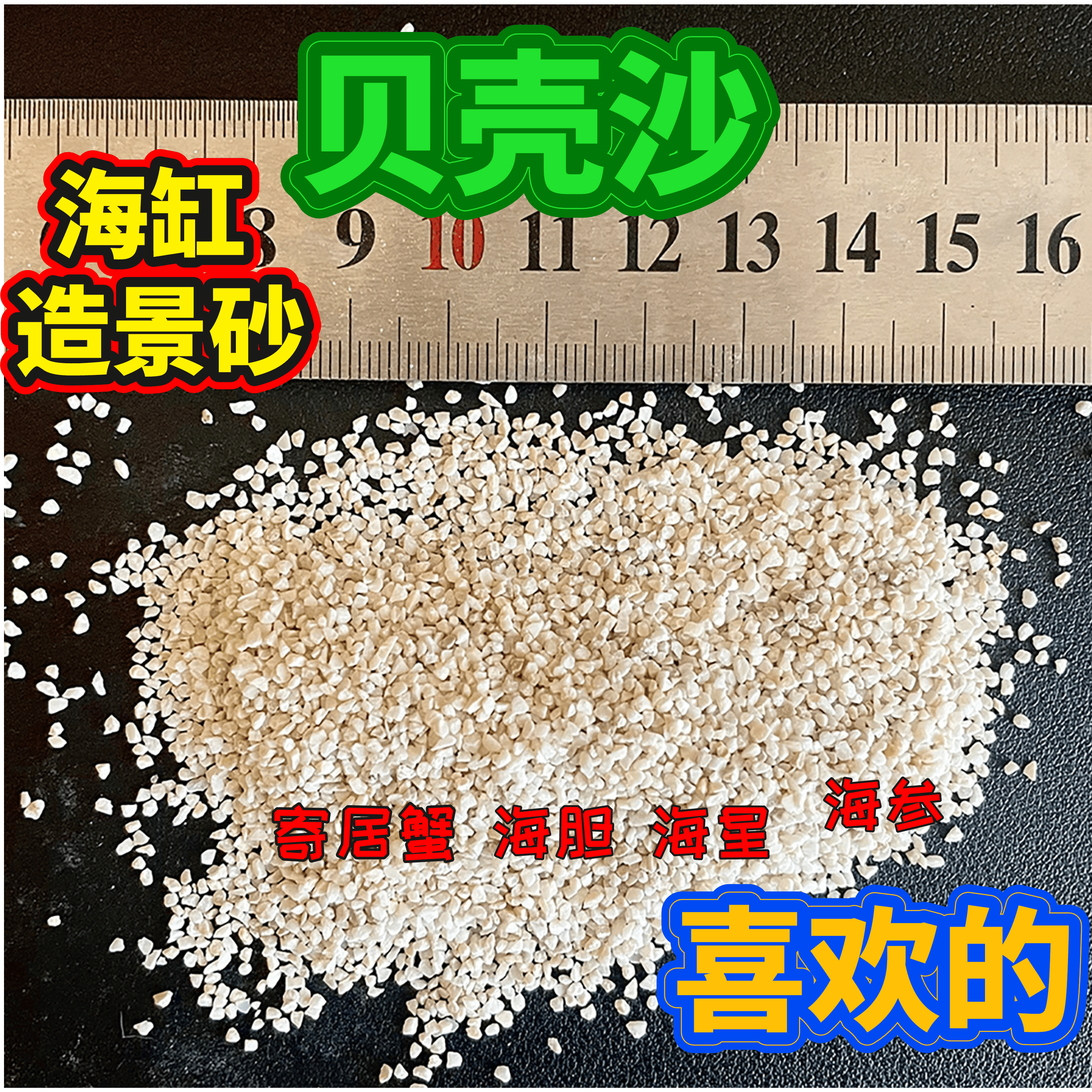 天然贝壳沙海缸珊瑚寄居蟹海胆海星参造景造型调节海缸造景珊瑚沙