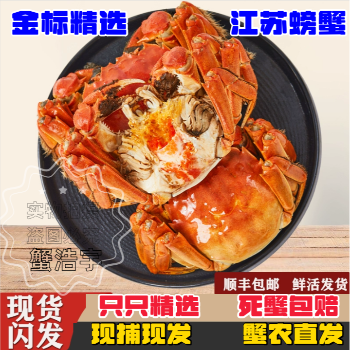 【金标活蟹】8送2到手10只装全母㍛3-㍛8两洪泽湖螃蟹顺丰包邮礼盒装