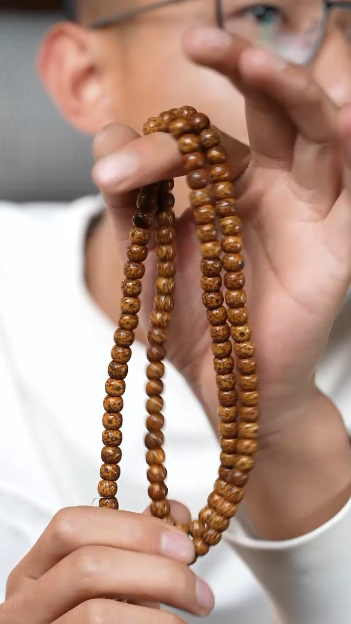 【闪购商品】老星月（多样性发货，发其一）