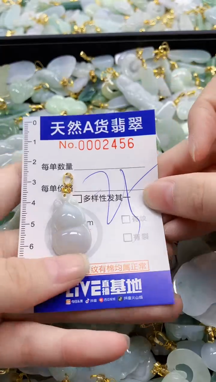 颈饰未镶嵌翡翠天然A货翡翠