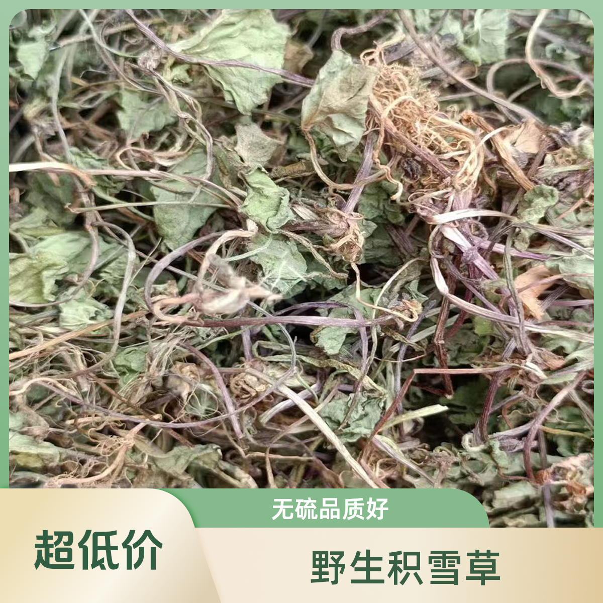 《野生积雪草》雷公根 晒干无硫马蹄草 积雪草干货250g/500g包邮