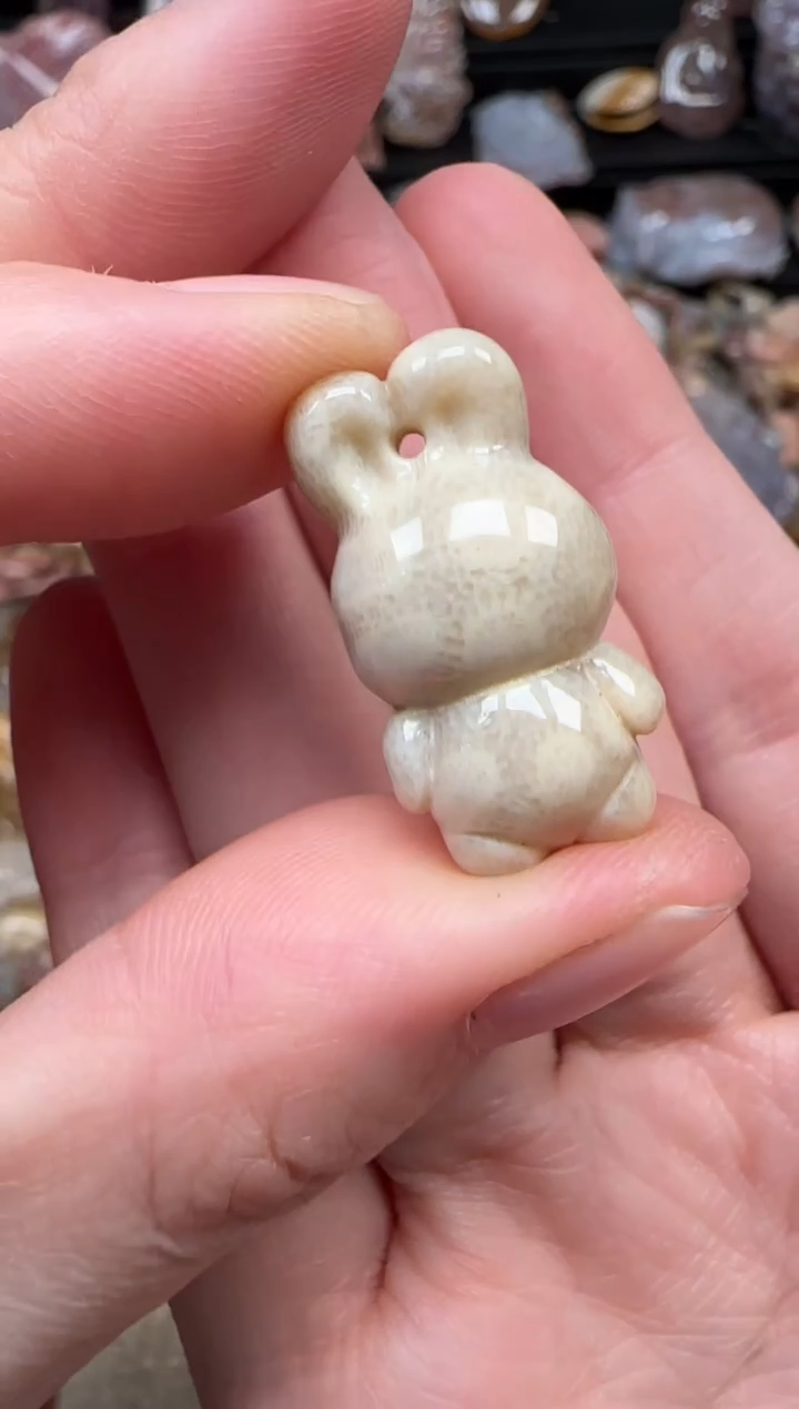 颈饰未镶嵌硅化珊瑚（珊瑚玉）589