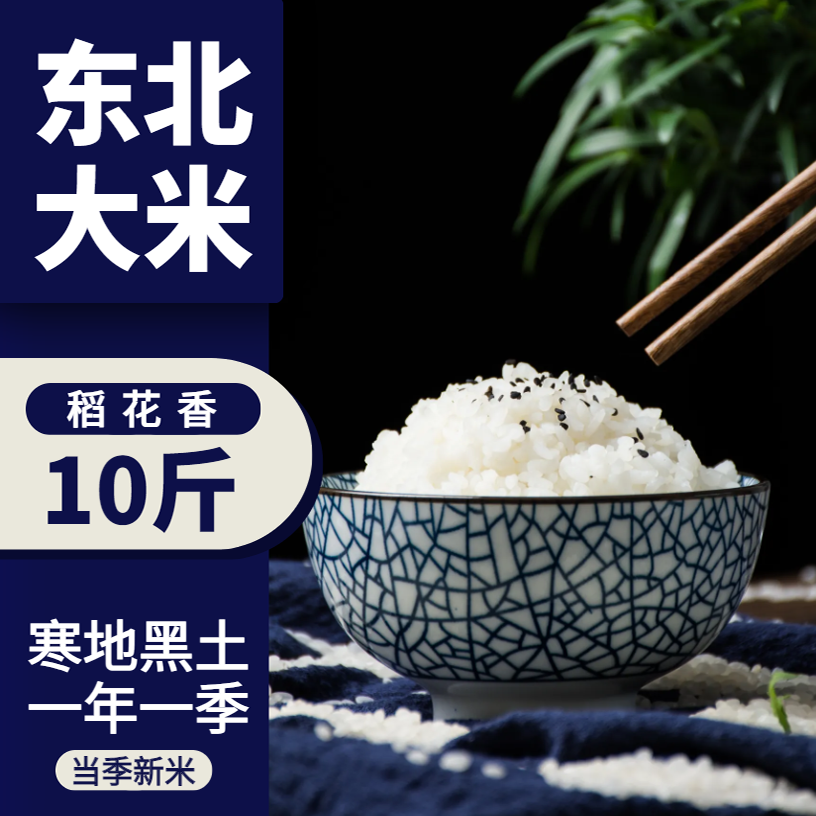东北大米黑龙江稻花香大米香米农家粳米5kg2024年当季新米