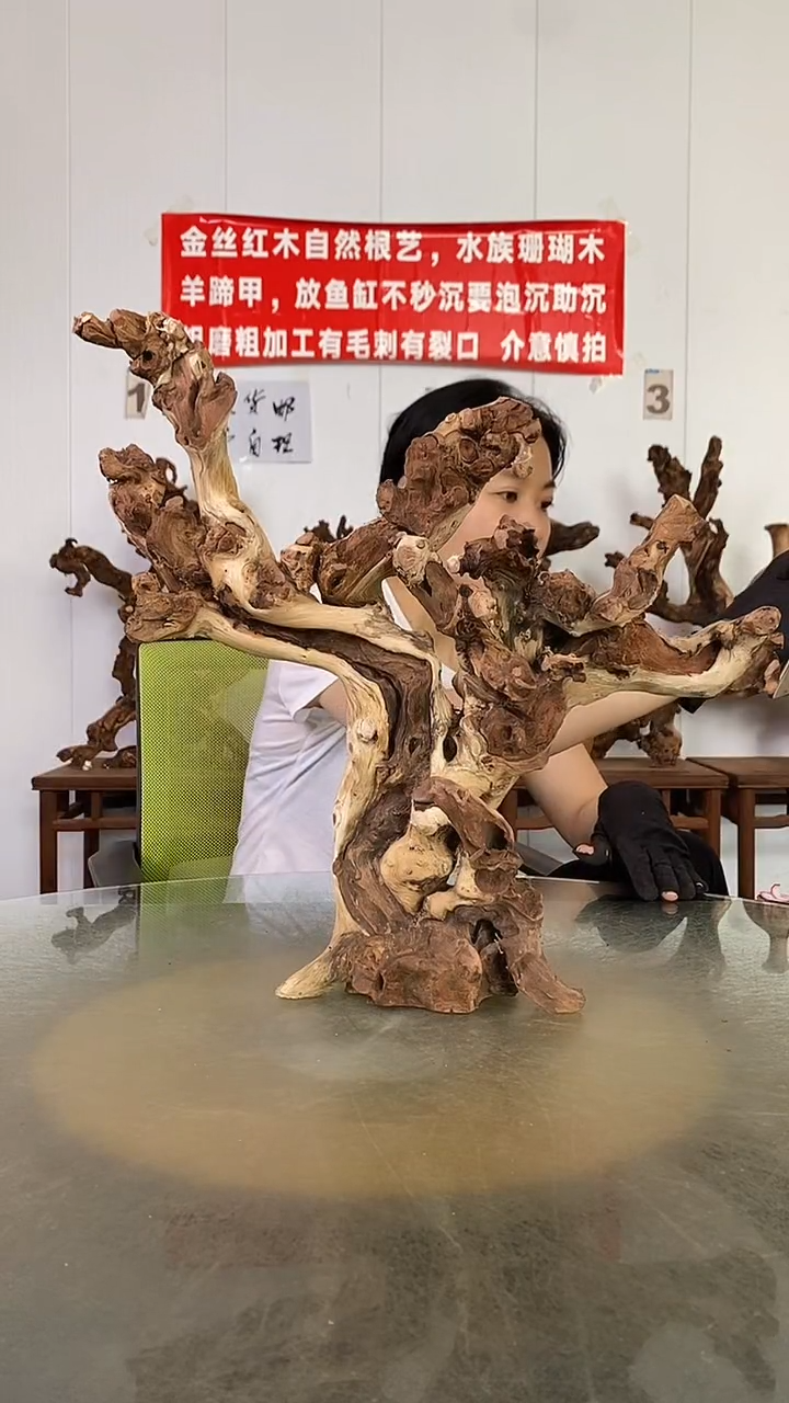 香榧木诚金丝红木   羊蹄甲