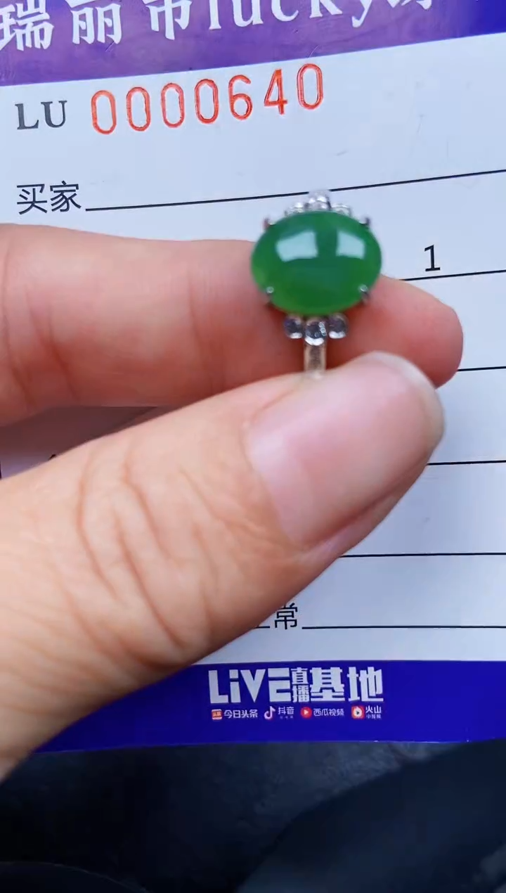 翡翠银S925镶嵌颈饰0640
