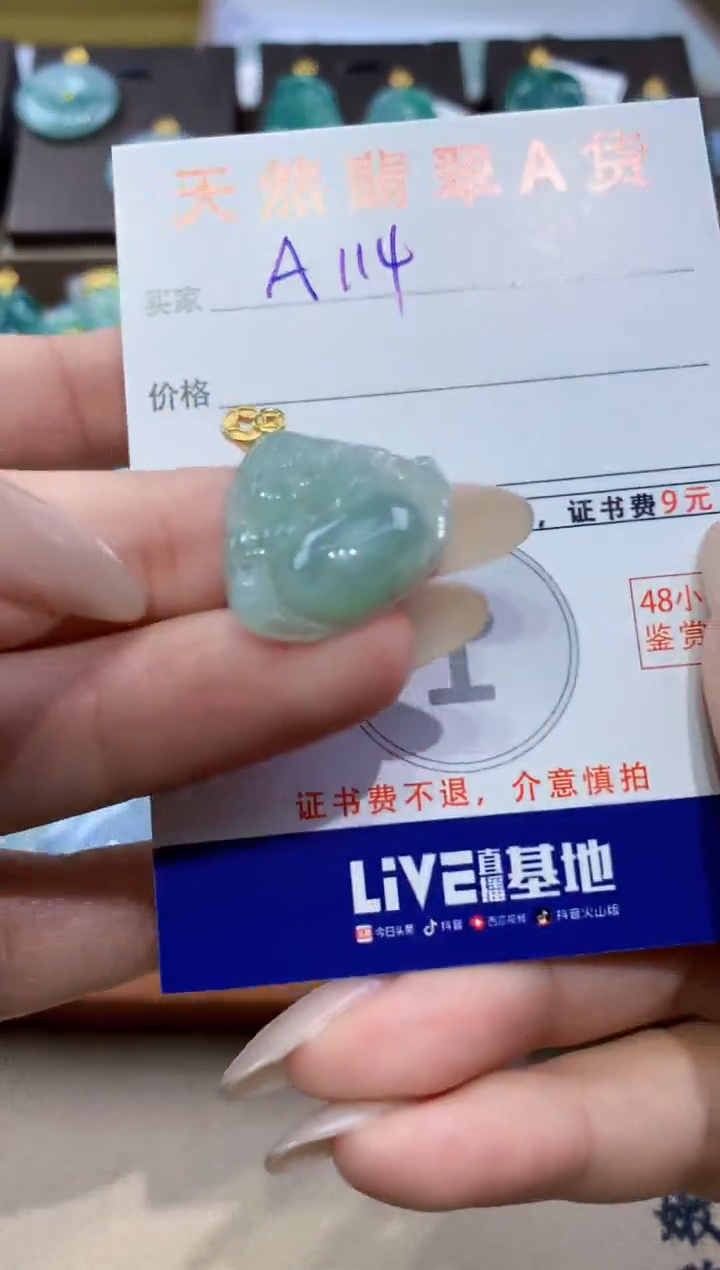 颈饰未镶嵌翡翠天然缅甸翡翠A货挂件 