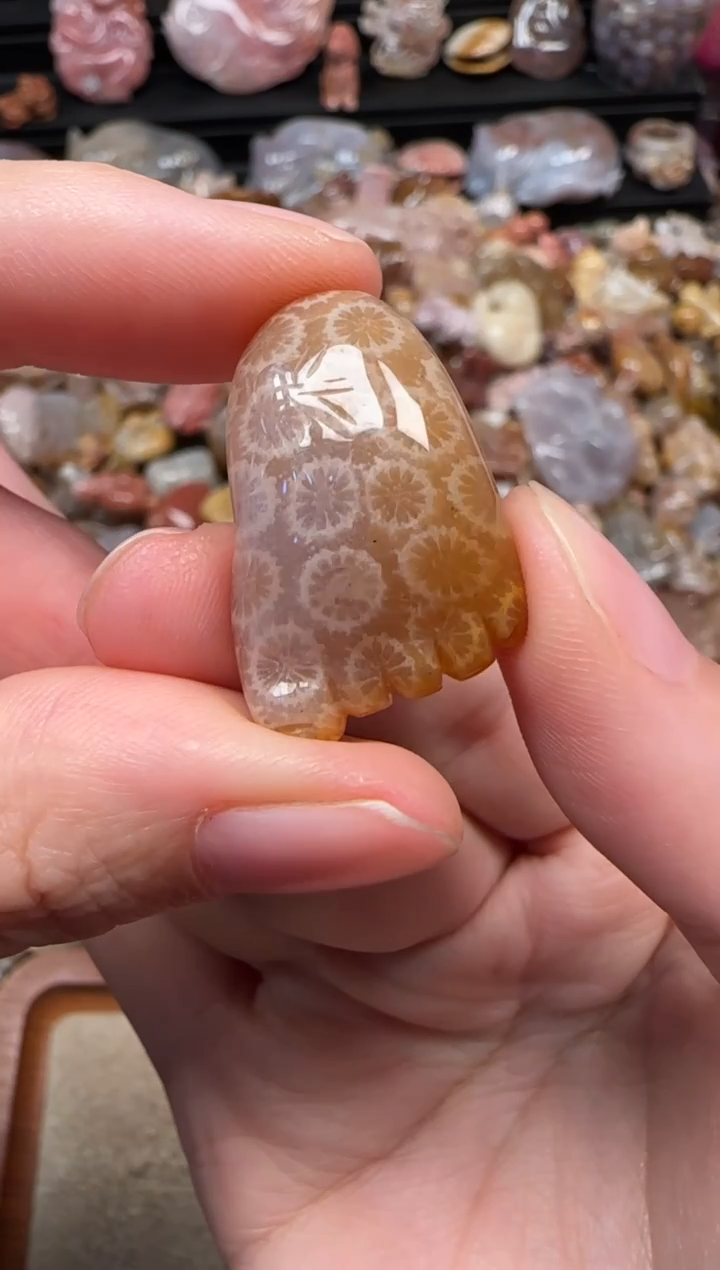 颈饰未镶嵌硅化珊瑚（珊瑚玉）418