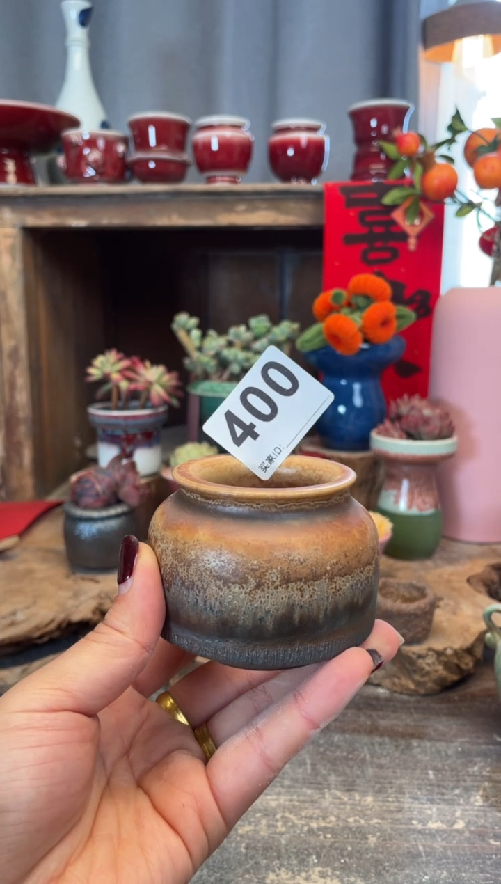 【闪购商品】摆件400知木小芳花盆