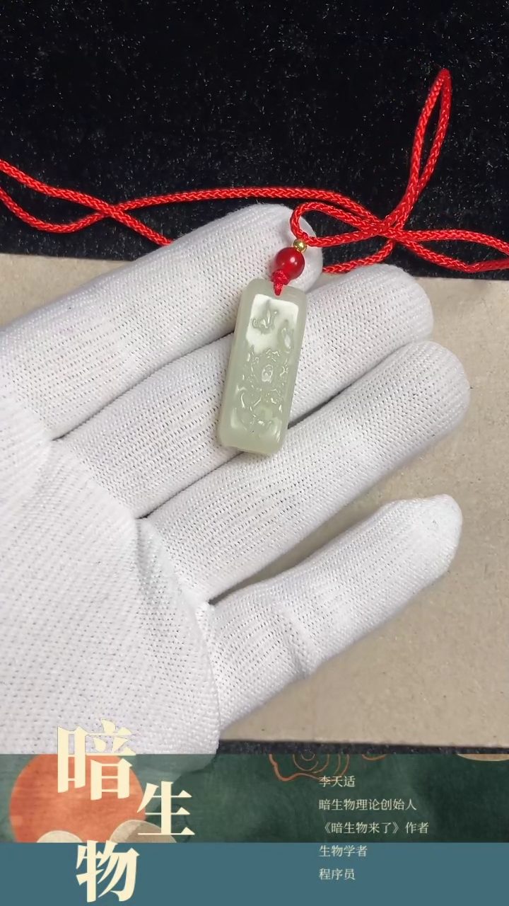 【闪购商品】和田玉吊坠(赠链)未镶嵌花草牌