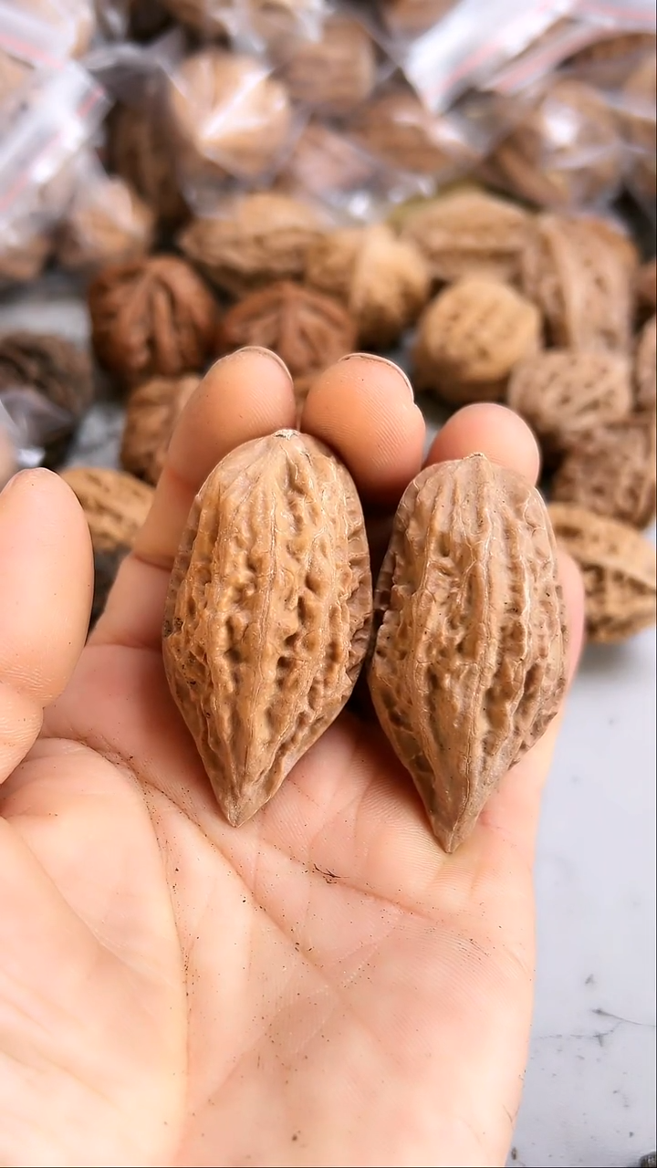 核桃东北野生大秋子5