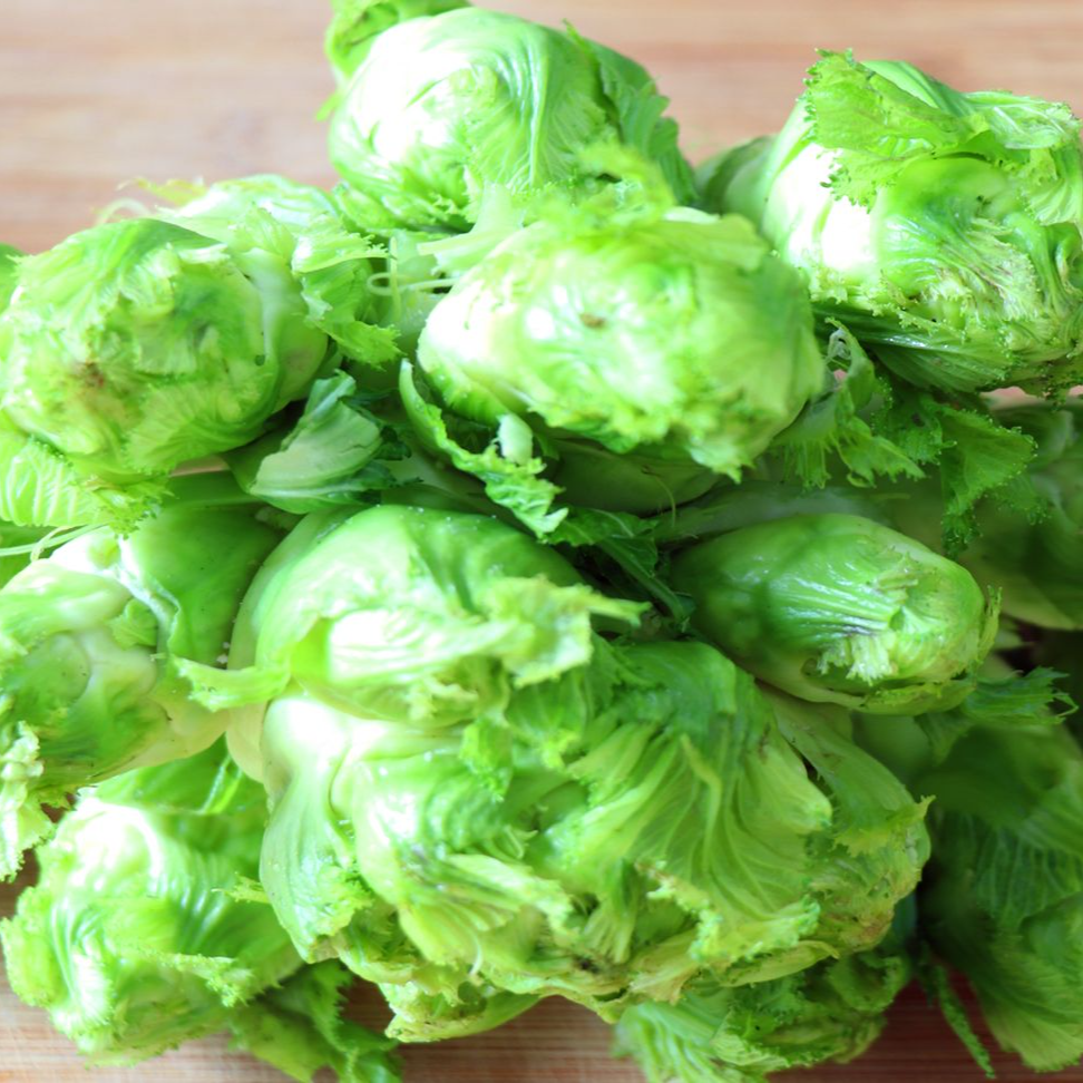 【儿菜】儿菜约1.6kg（浩程）