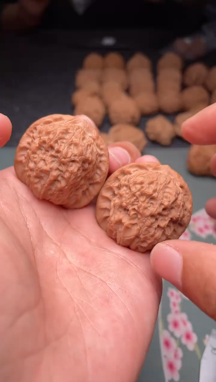 核桃a242  血麒麟 37尺