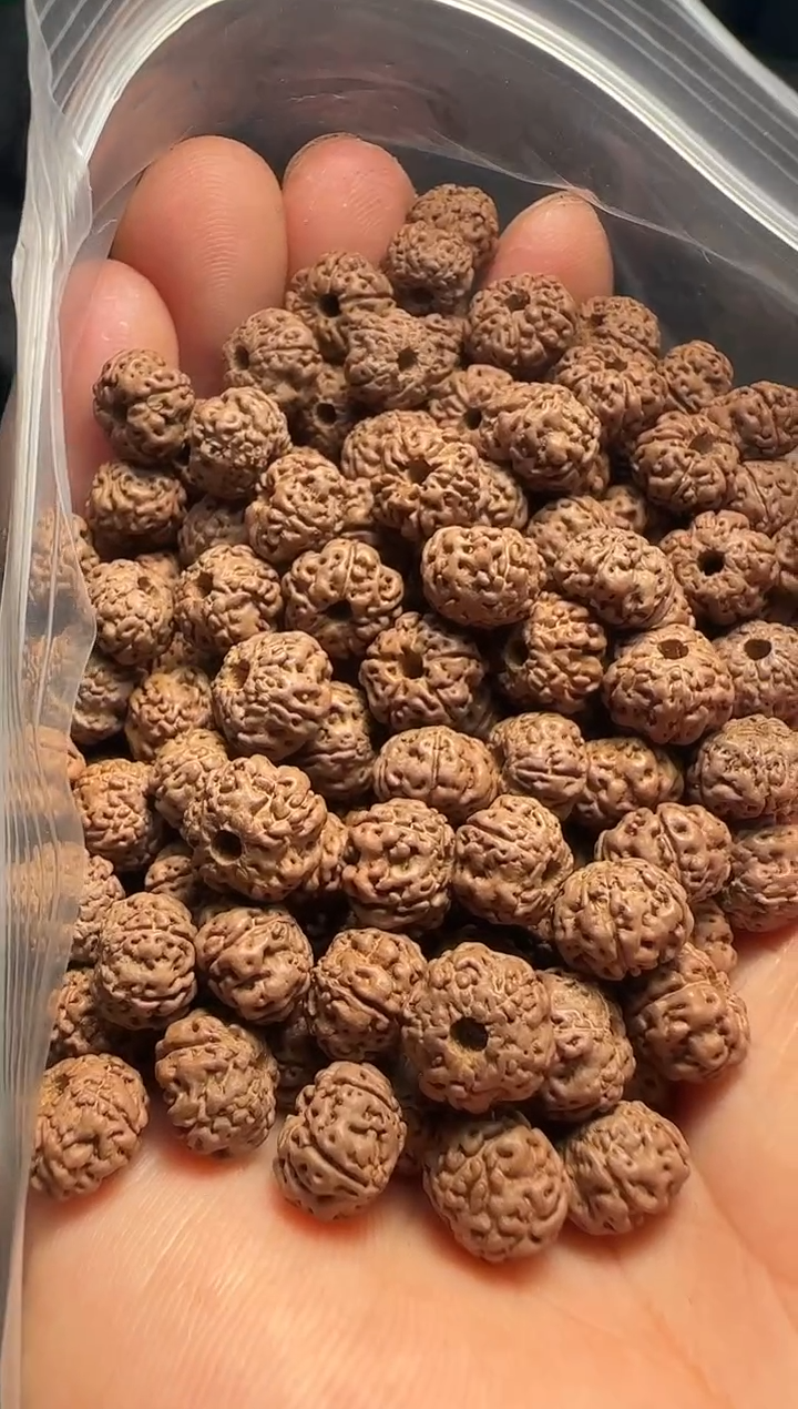 手串金刚菩提非全品平细散籽8-9mm一份一百颗