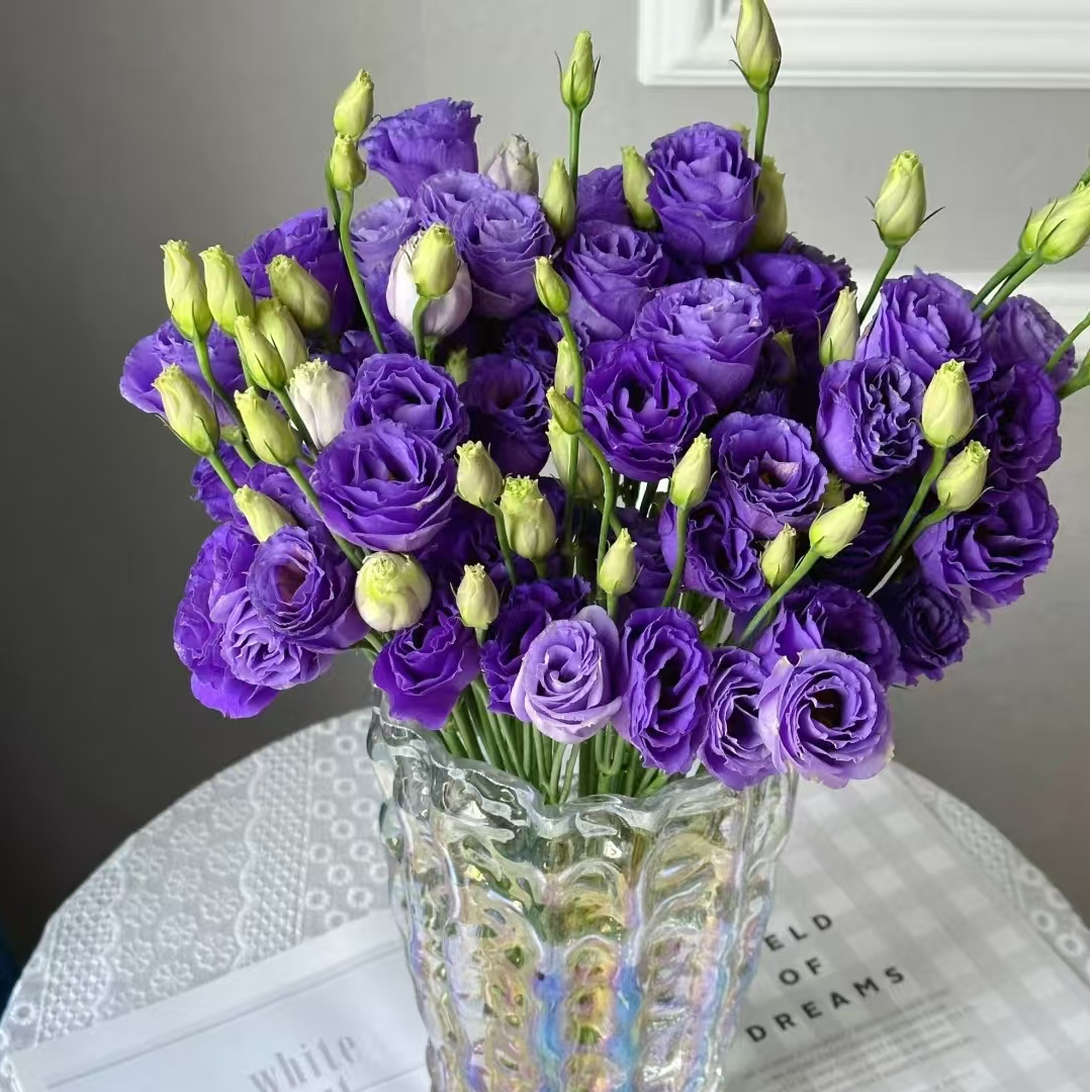 1大扎紫色洋桔梗600g【2单顺丰或京东】云南鲜花直发水养鲜切花