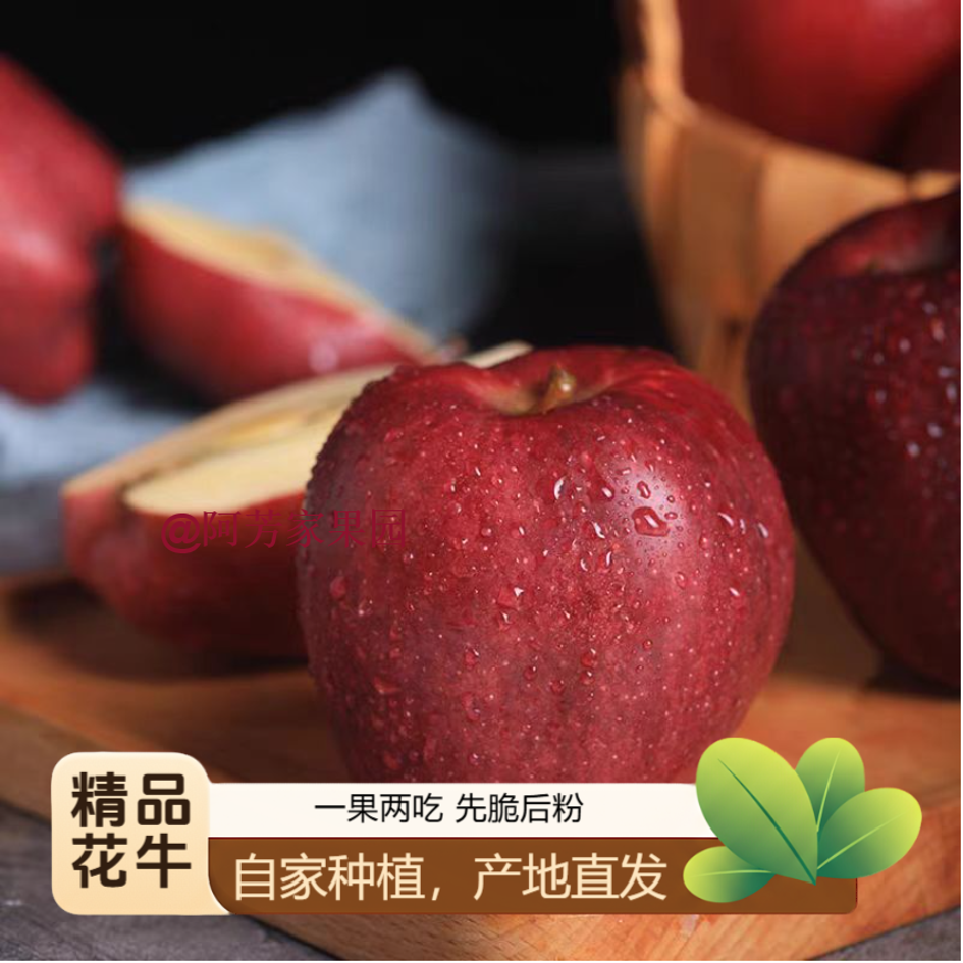 【精品花牛苹果】山地种植香甜多汁当季水果