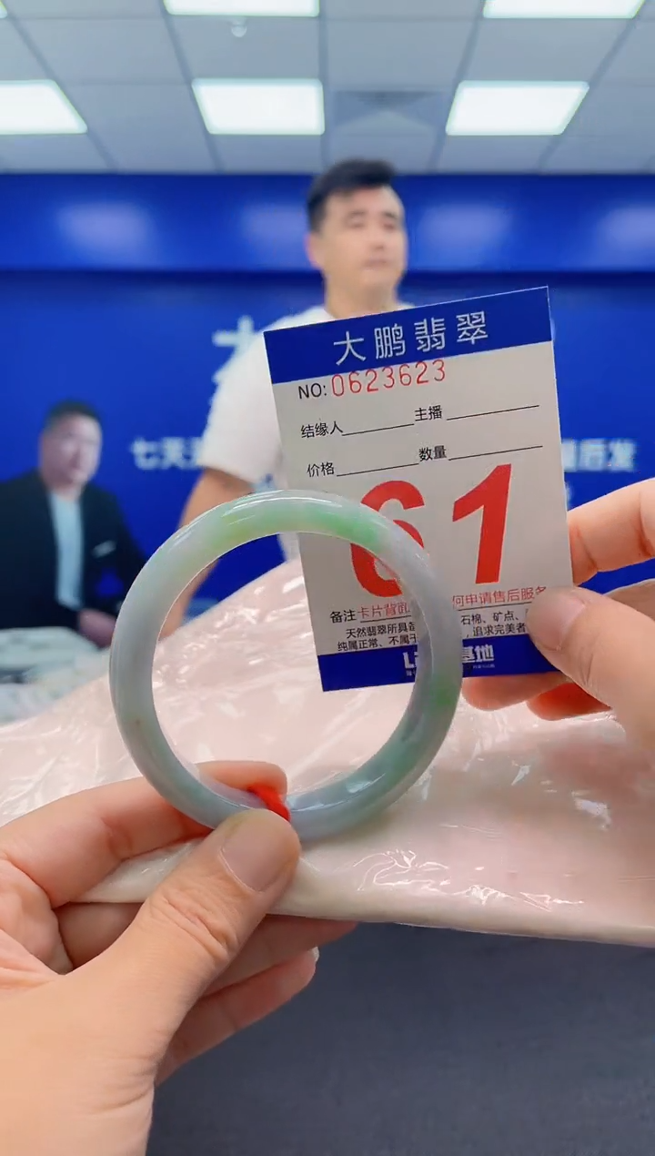 未镶嵌手镯翡翠AAAAAAAAA