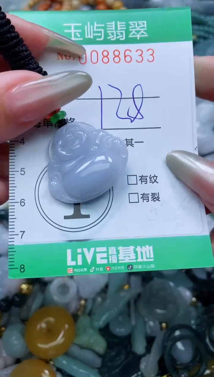 【闪购商品】翡翠颈饰未镶嵌闪购0088635