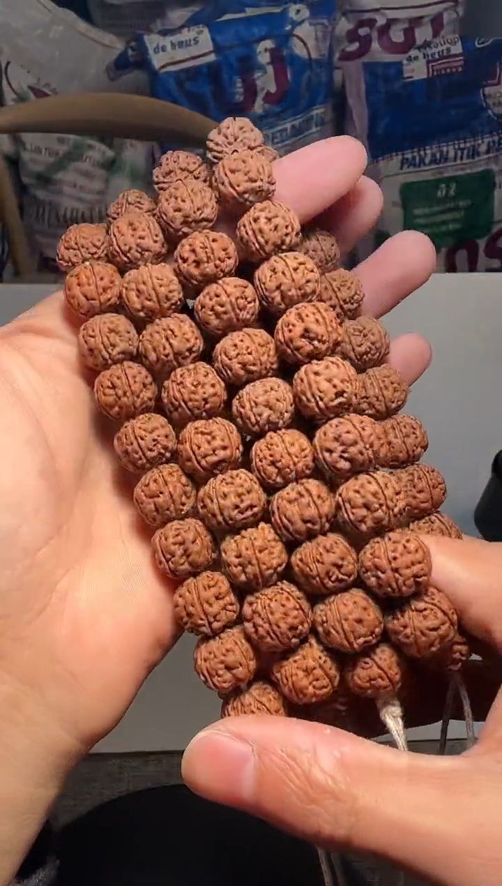 手串金刚菩提无利润超头精挑老树王手持-14mm