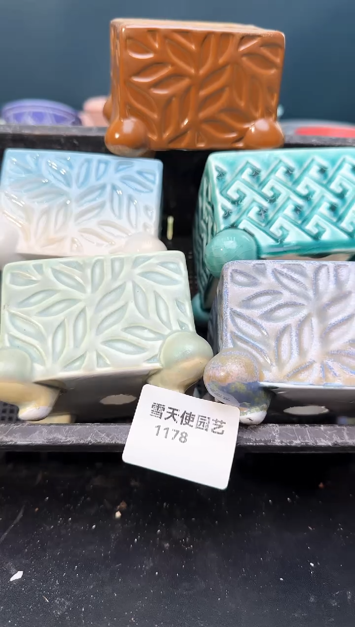 11  78小蛙腿盆 5 个默认微瑕