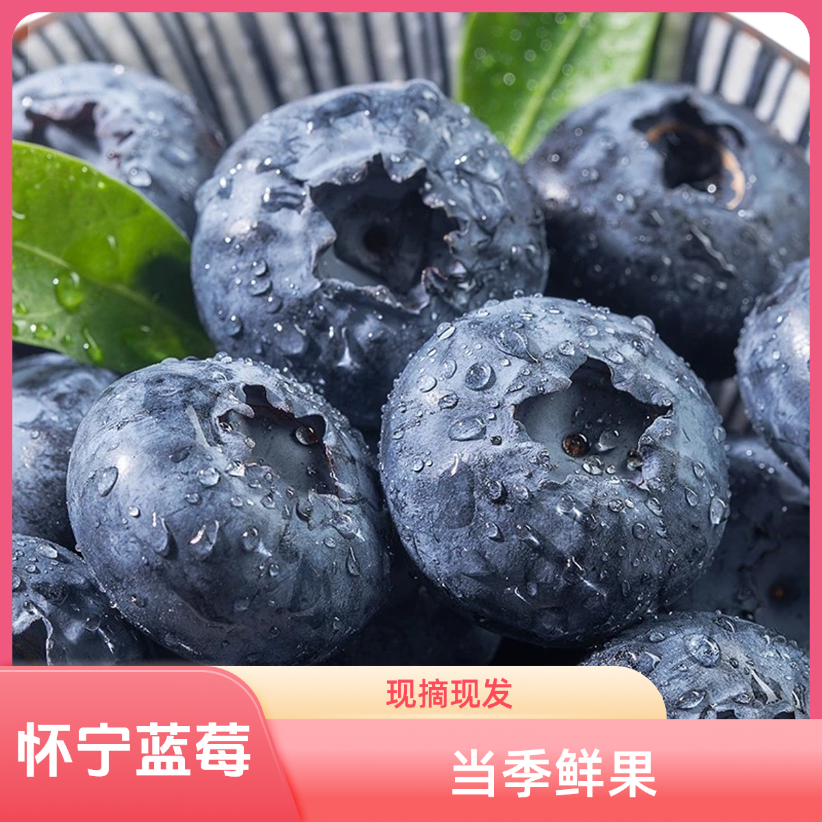 怀宁蓝莓15-20mm露天蓝莓净重2斤装京东生鲜包邮安徽省