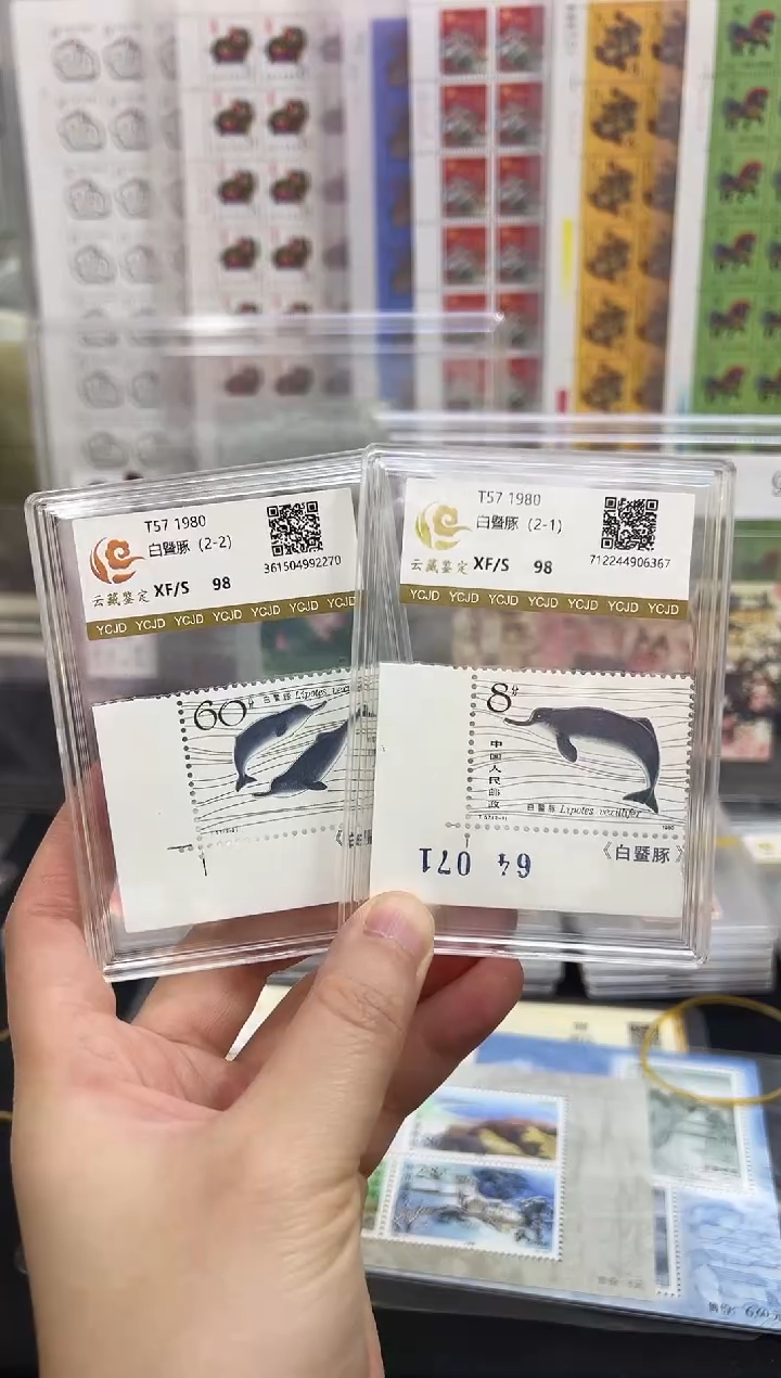 t57白鱀豚 直角边