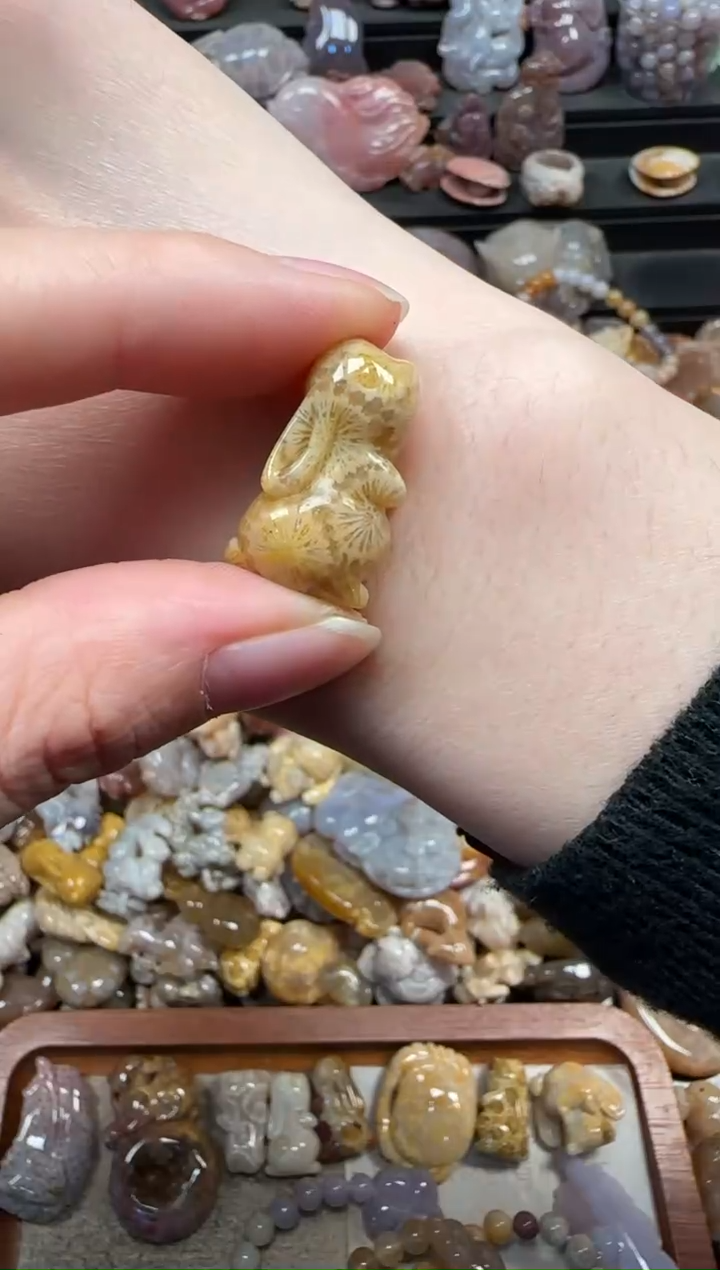 颈饰未镶嵌硅化珊瑚（珊瑚玉）563