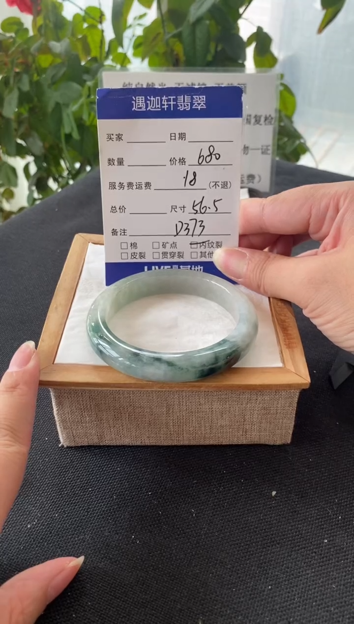 未镶嵌手镯翡翠56圈口 D373编码