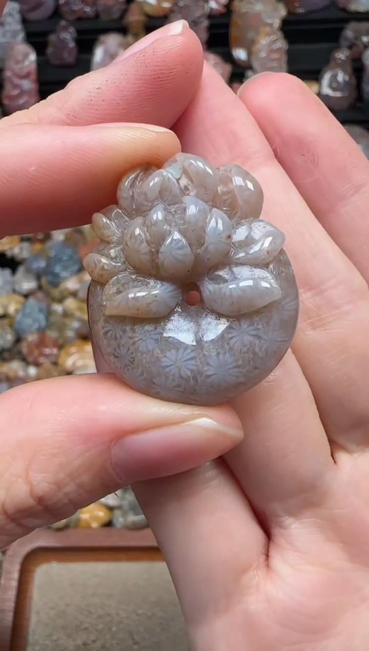 颈饰未镶嵌硅化珊瑚（珊瑚玉）230