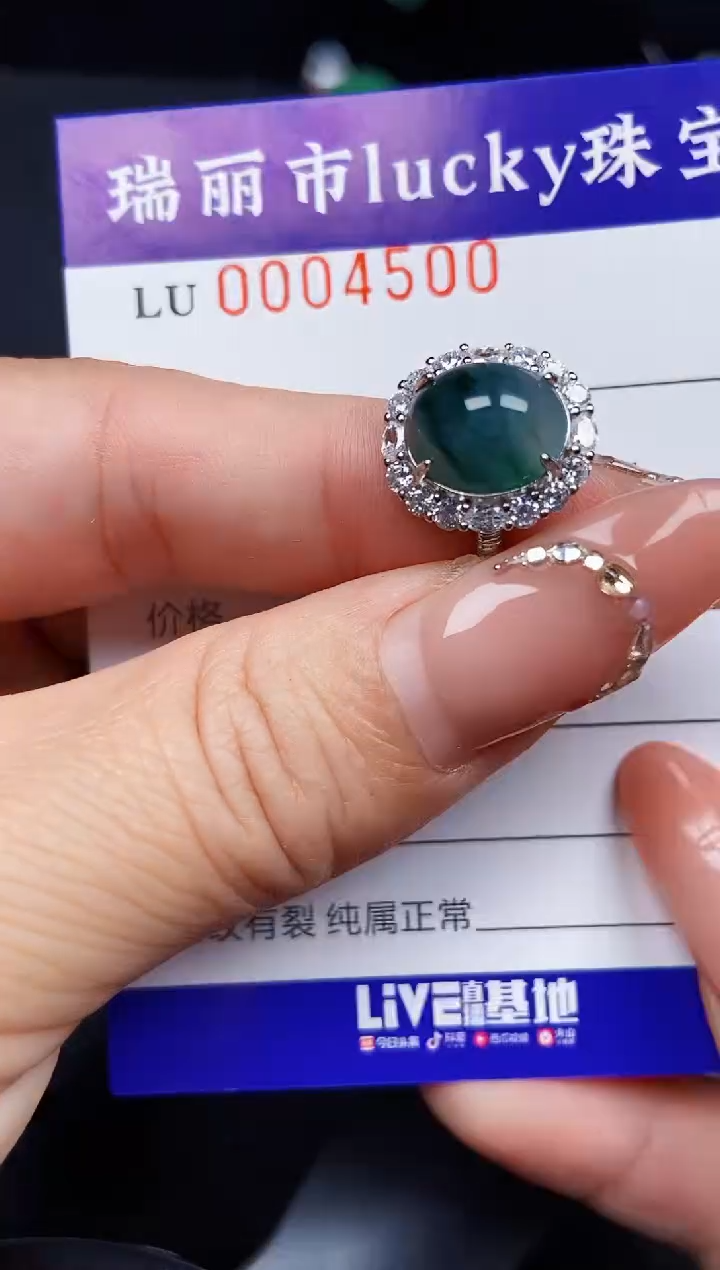 翡翠银S925镶嵌颈饰4500