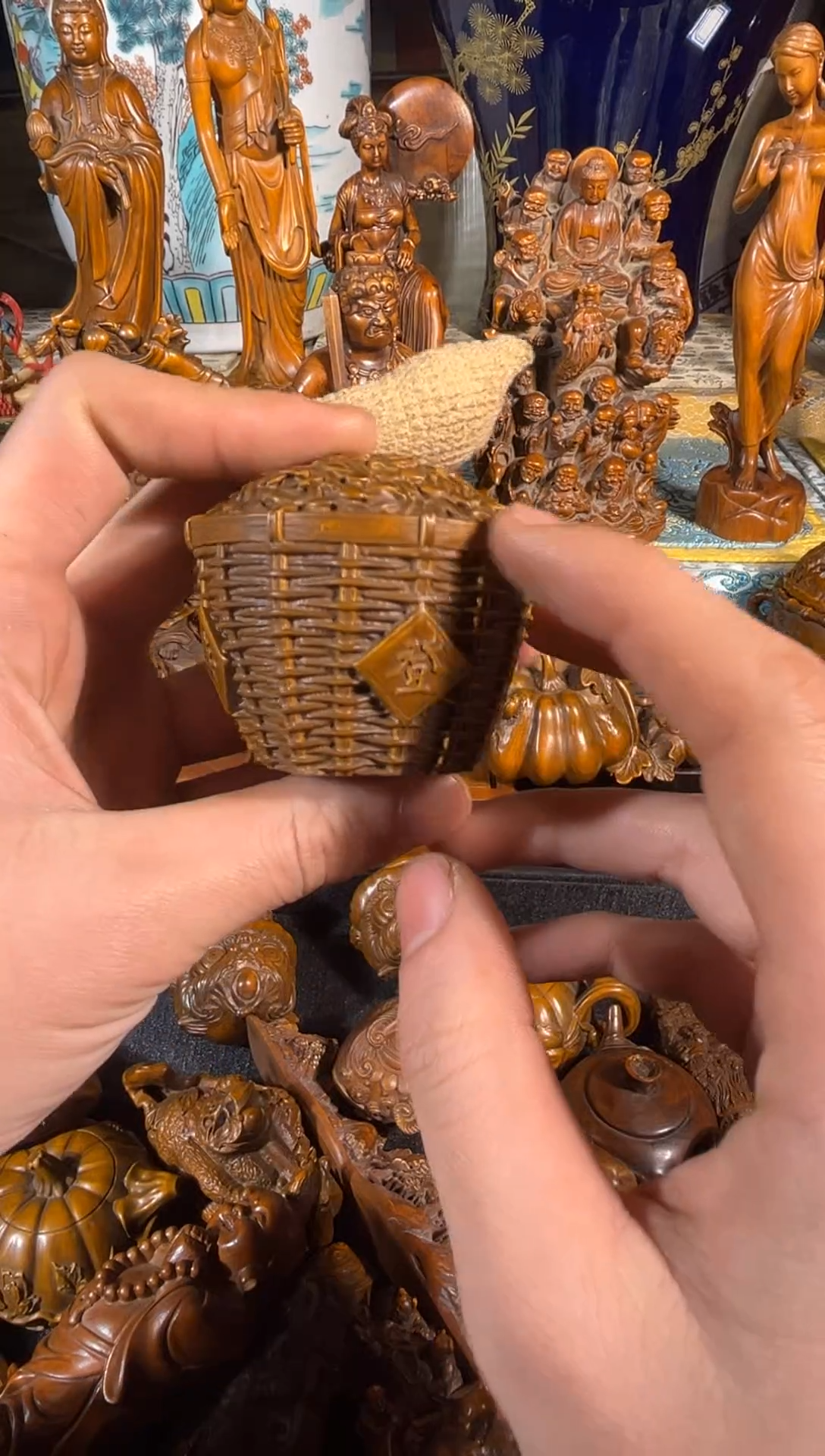 黄杨木11111111111