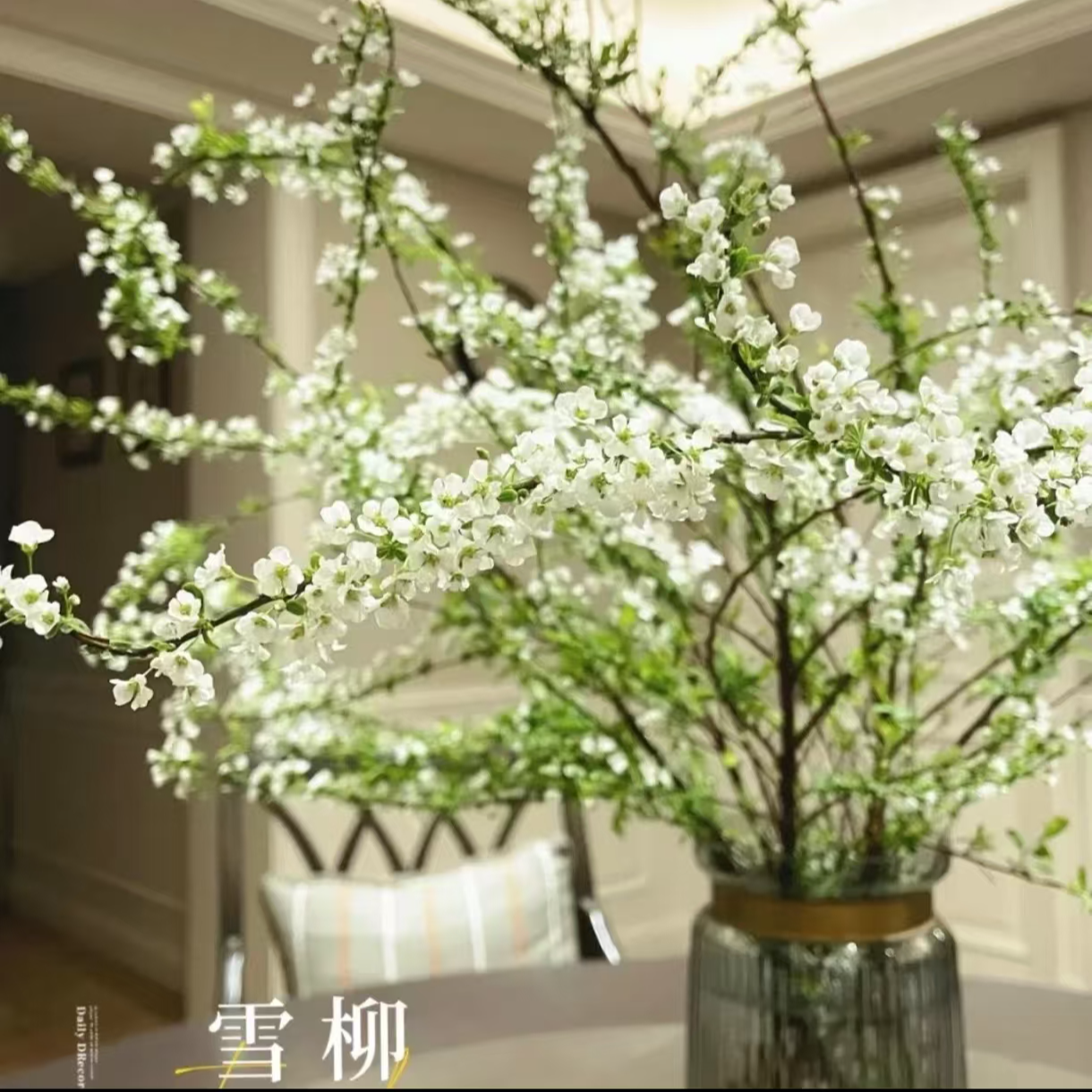 【带绿芽发货鲜枝】雪柳鲜枝水养带绿芽1.2米到1.4米大长枝发货