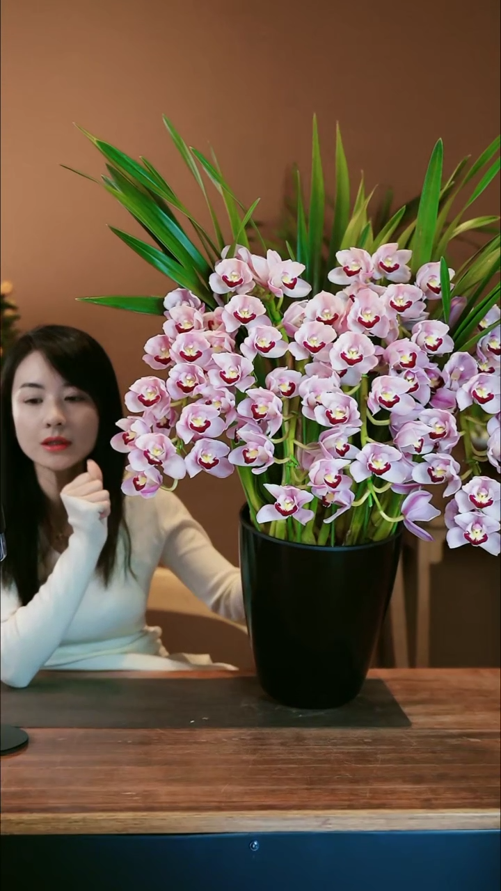 【闪购商品】盆景太好看 礼盒