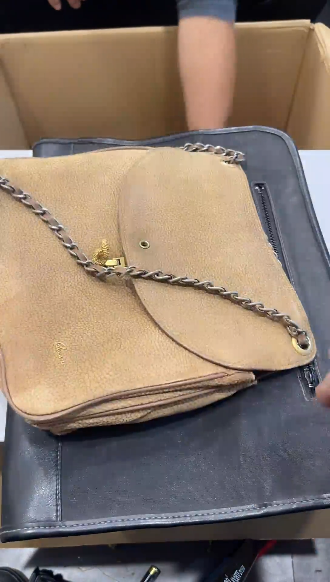 零***叁啊啊啊啊啊啊啊