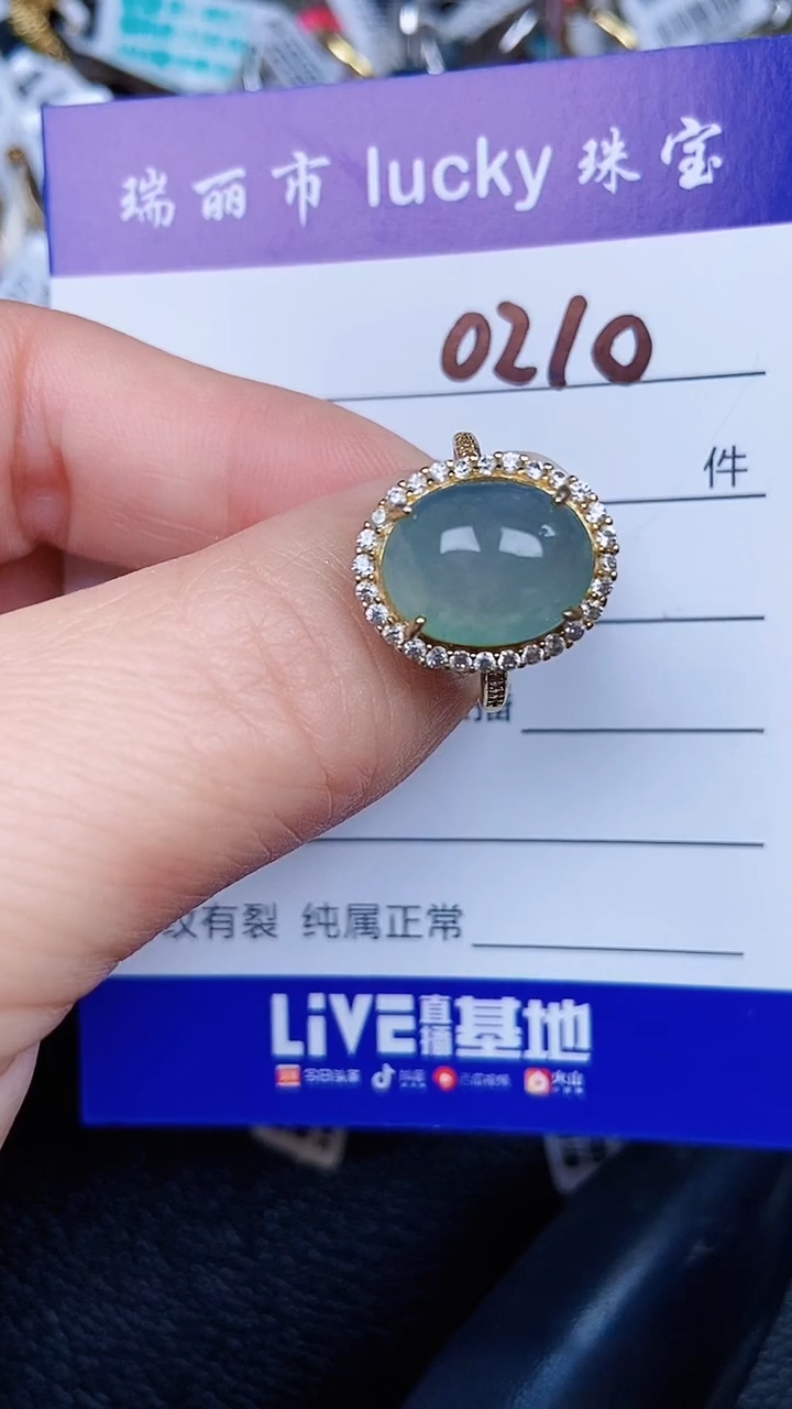 颈饰银S925镶嵌翡翠0210