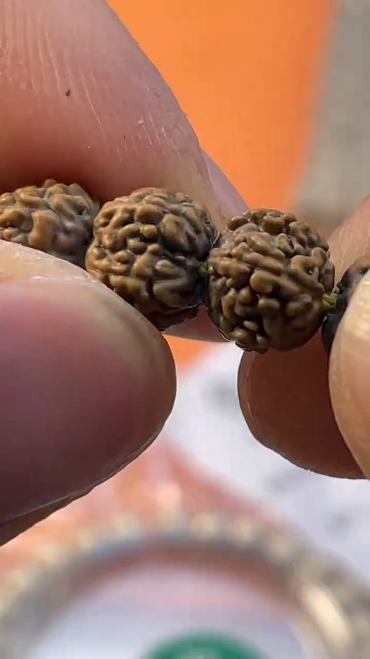 【闪购商品】金刚菩提手串密封定制级灰皮葛地利一代龙尺寸6-8