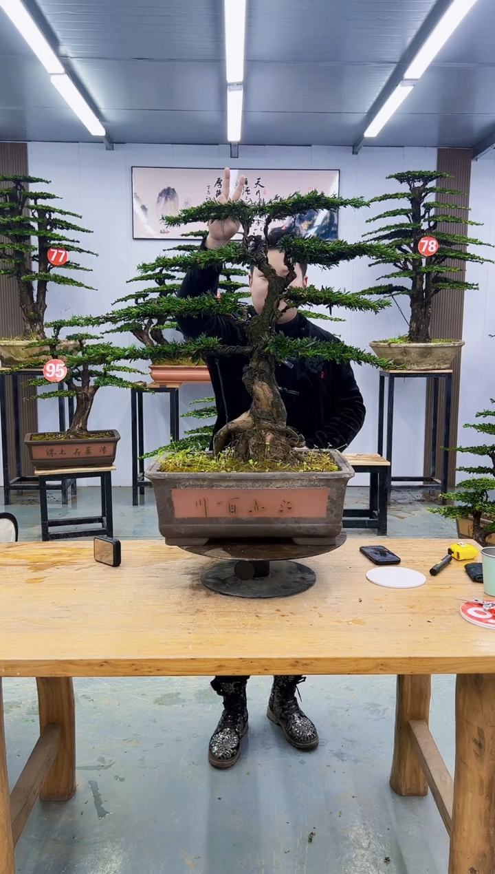 以实际为准00000000