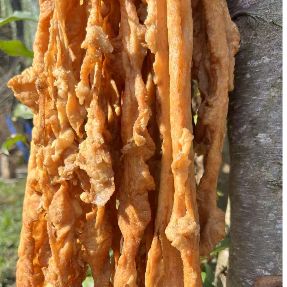 城口高山土猪《肠肝肚肺》