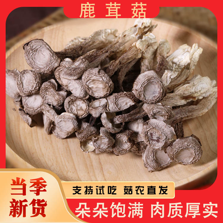 鹿茸菇脱水蔬菜【试吃2包】到手50*5袋农家干货炒菜煲汤鲜香脆嫩