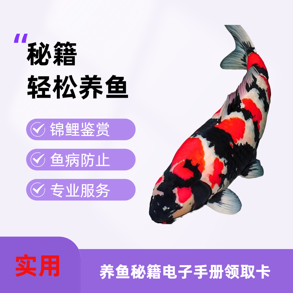 锦鲤养殖与鉴赏，常见疾病治疗与预防，电子手册领取卡