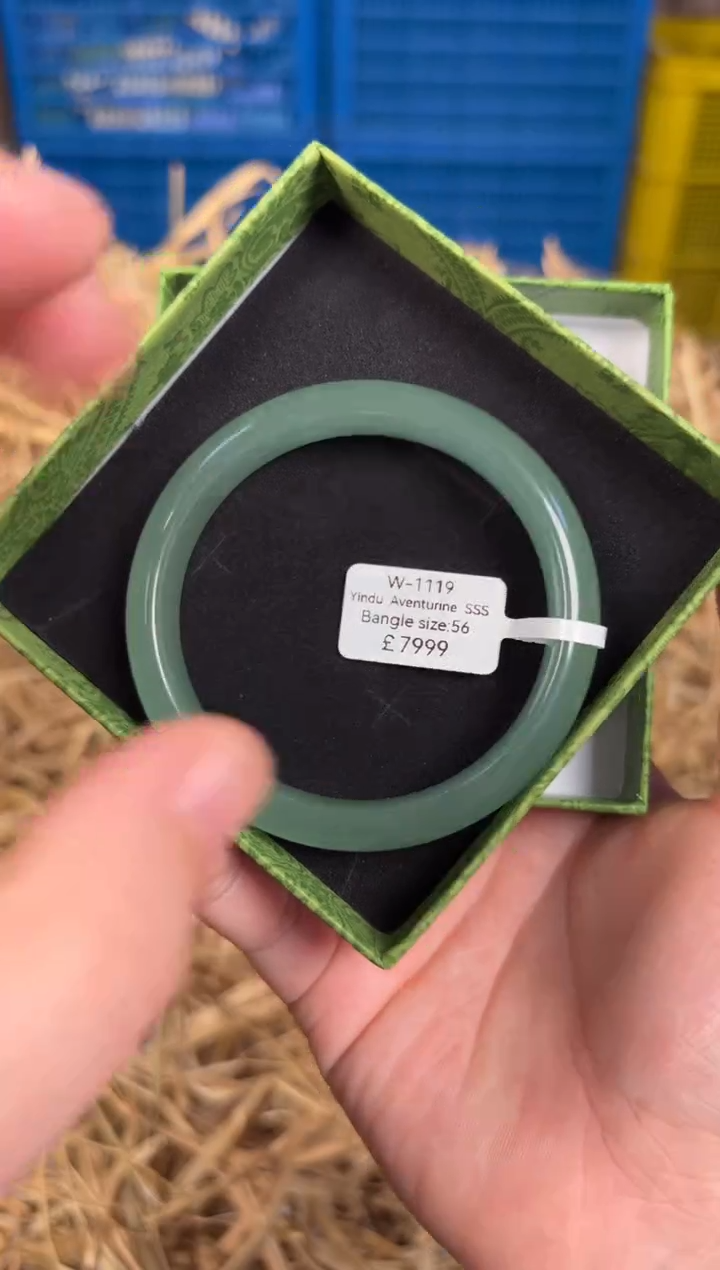 未镶嵌手镯石英质玉W1119