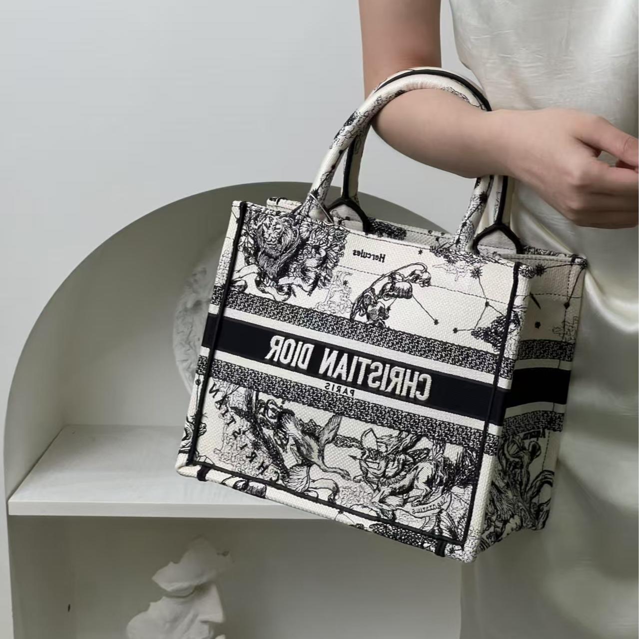 95新 DIOR/迪奥 dior tote小号星座/优品