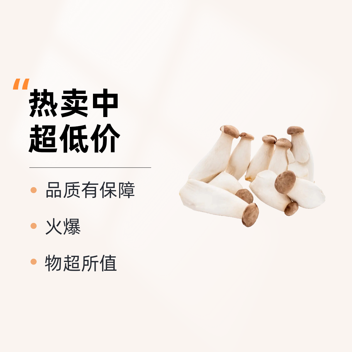 现摘杏鲍菇750g三盒装菌肉肥美干净无杂（顺丰次日达）
