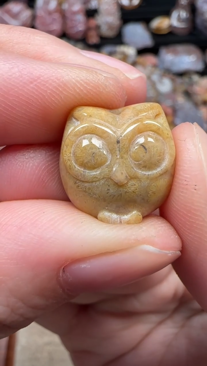 颈饰未镶嵌硅化珊瑚（珊瑚玉）600