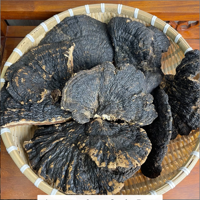 （超越推荐）不苦灵芝无柄黑树芝泡水煮汤野山黑灵芝