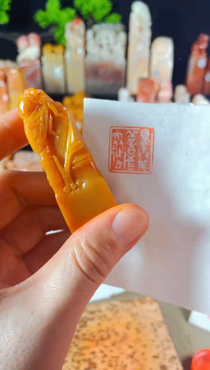 【闪购商品】老挝石印石手工篆刻《择其善者而从之》