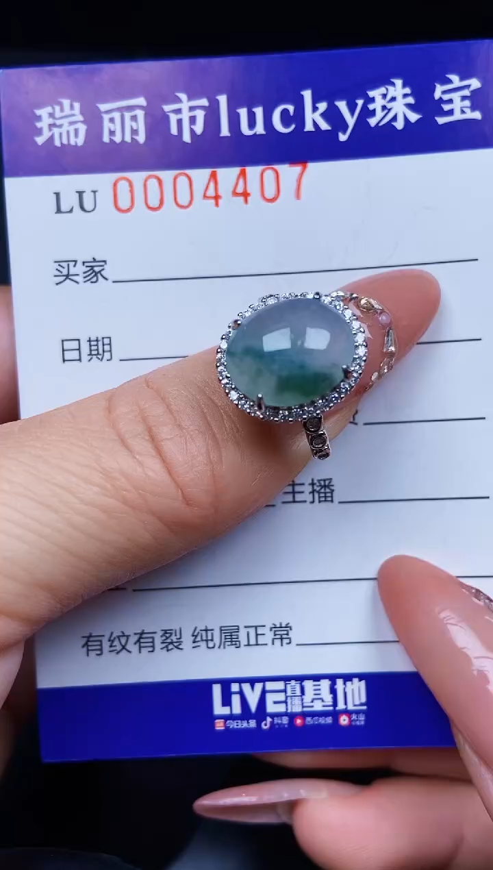 翡翠银S925镶嵌颈饰4407